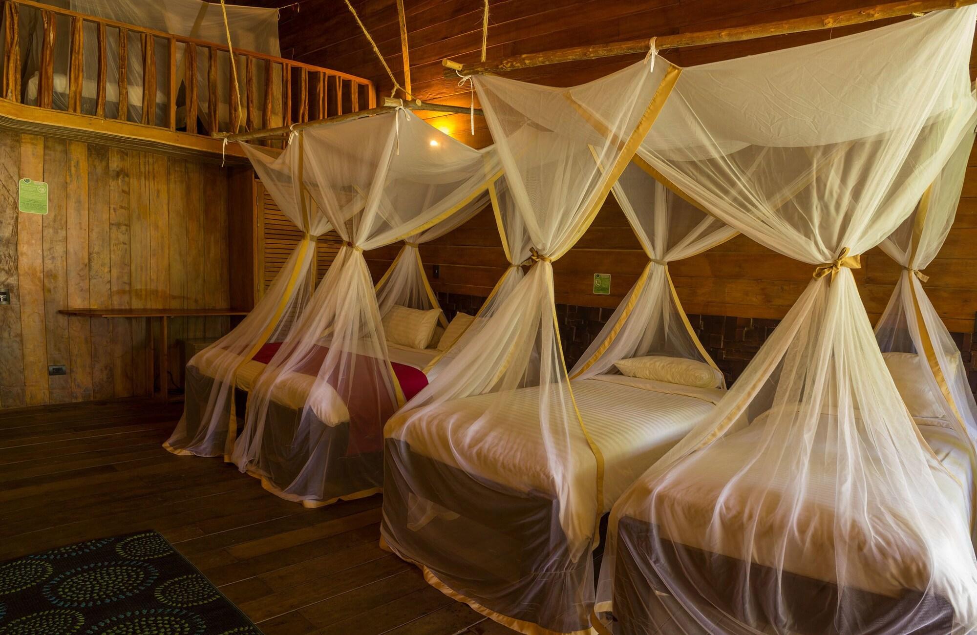 On Vacation Amazon Hotel Leticia Eksteriør billede
